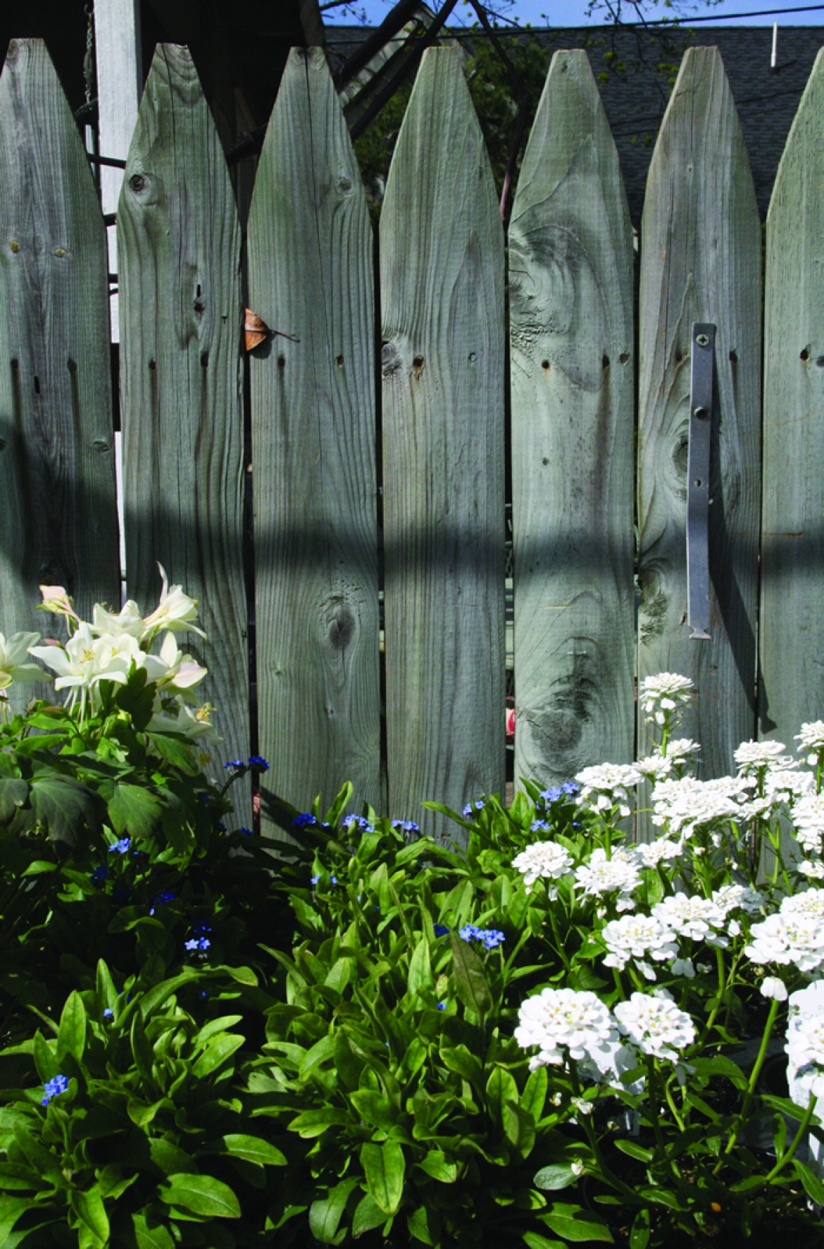 Finding the Right Fencing Fit | Great American Floors
