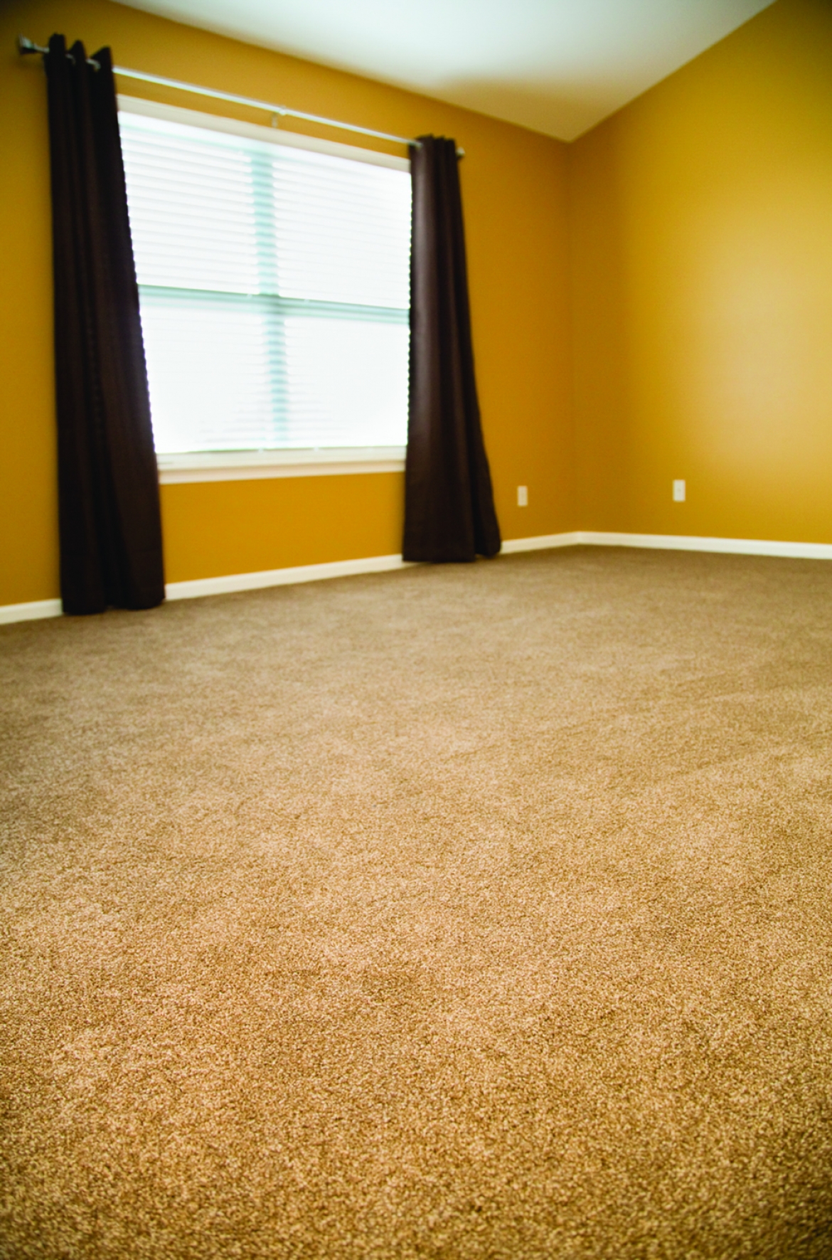 Carpet Flooring, American Flooring