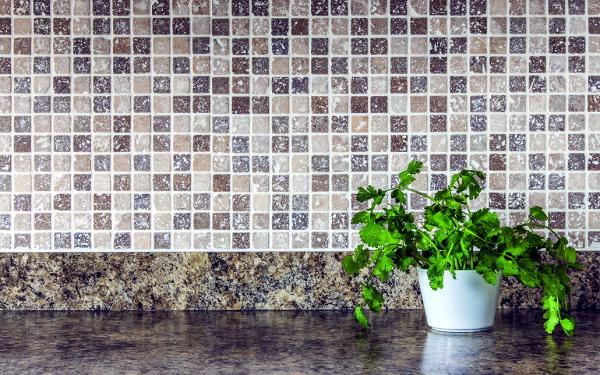 Houseplants can Clean Indoor Air | Great American Floors